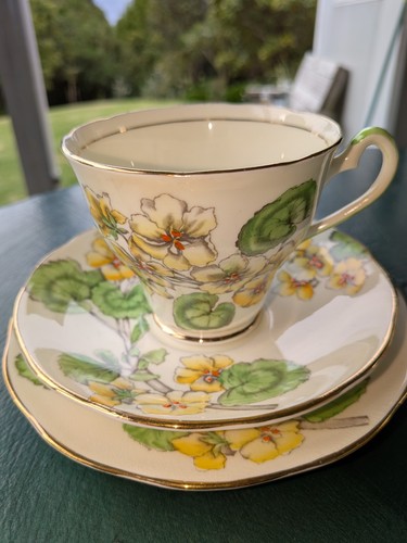 Vintage salisbury bone - salisbury,