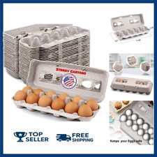 180x Eggs Natural Pulp Egg