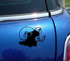 RAM HEAD PORTRAIT HORNS FUNNY