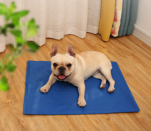 65cm pet cooling - pet,