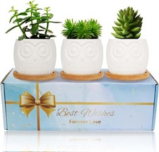 LOOPES Owl Succulent Plant Pot
