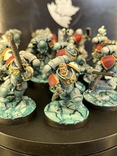 Warhammer 40k Army Space Wolves Pro Painted 10x Assault Intercessors
