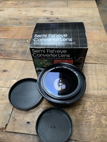 Fish eye lens - fish,