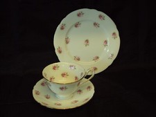 Antique Wileman Foley China Tea Cup Trio Rosebuds Pattern 7447