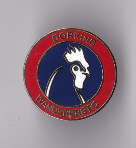 Dorking wanderers lapel - wanderers,