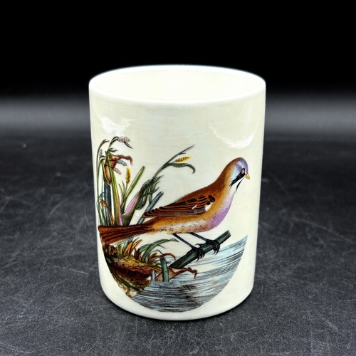 Portmeirion birds england - birds, of