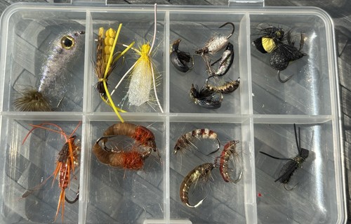 Fishing flies specialised - flies.,