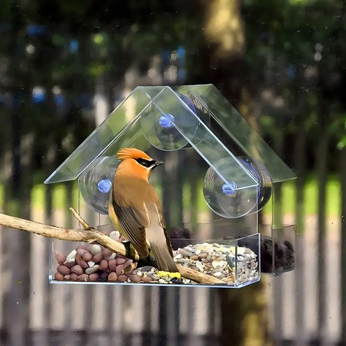 Window bird feeder clear - window,