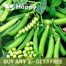VEGETABLE SEEDS EARLY PEA -