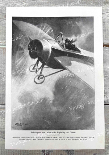 Brindejonc des moulinais ww1 - brindejonc,