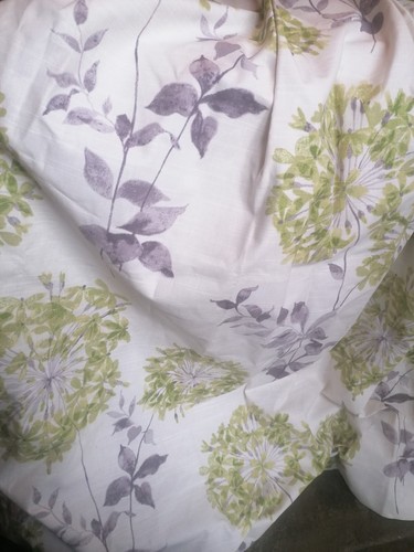 Allium curtains fit - allium,