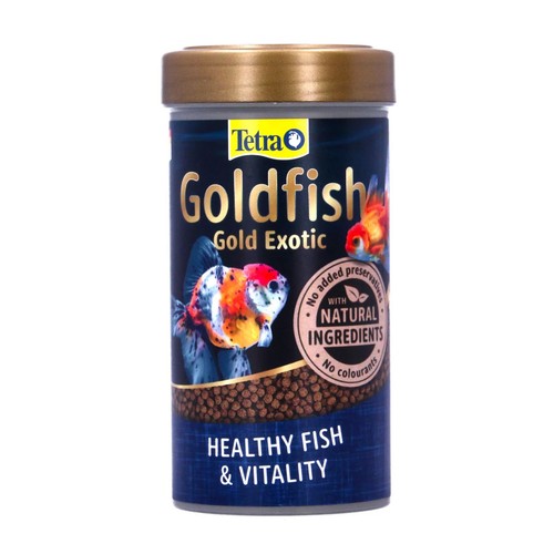 Tetra goldfish cold aquarium - goldfish,