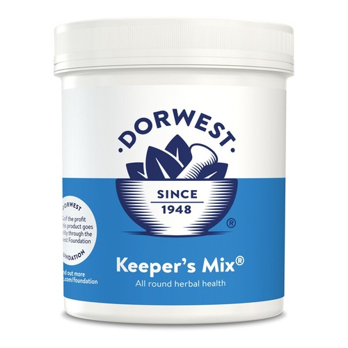 Dorwest keeper mix dog - dog, cat