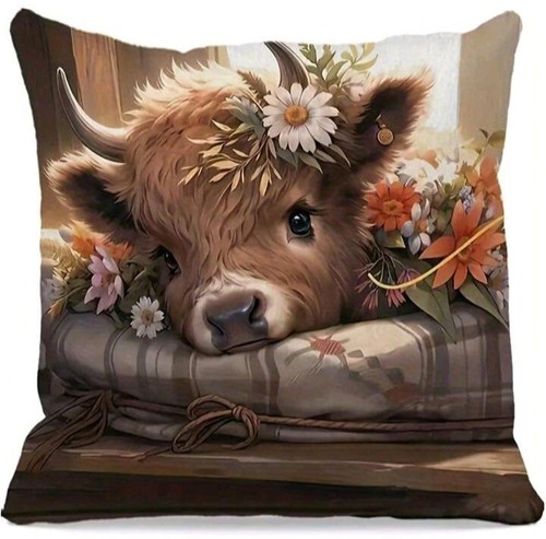 Beautiful highland cow - x,