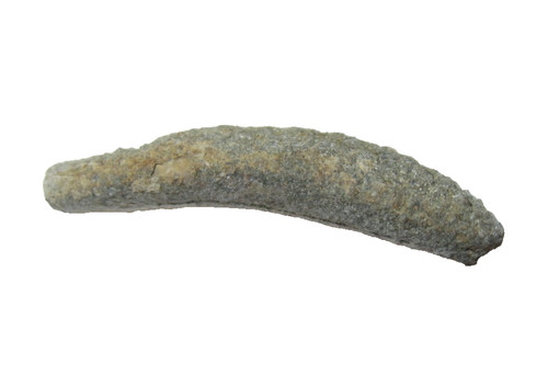 Pennsylvanian crinoid fossil - pennsylvanian,