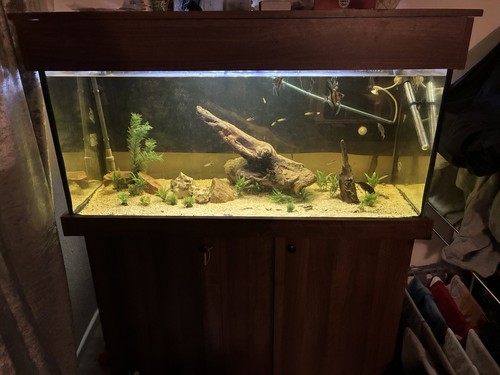 4ft aquarium cabinet setup - cabinet,