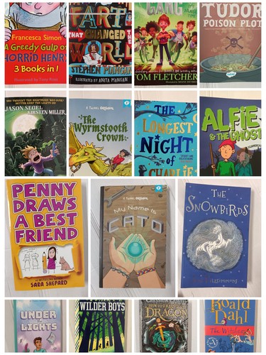 Children chapter books - 15,
