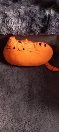 Ginger cat teddy - ginger, teddy/cushion