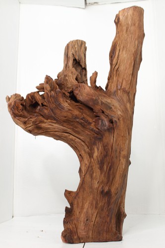 Large centerpiece driftwood - centerpiece,