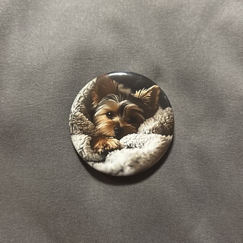 Yorkshire terrier dog image - terrier,