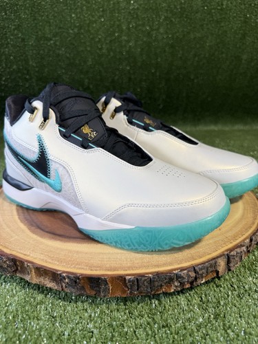 Men nike lebron - lebron, gen