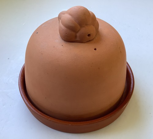Rustic terra cotta garlic - terra,