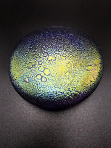 Heron glass medium disk - heron,
