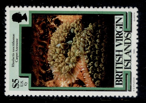 British virgin islands qeii - virgin,