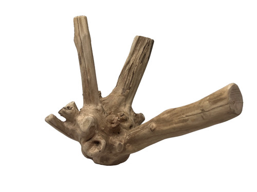 Natural drift wood terrarium - natural,
