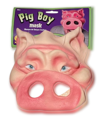 Funny pig boy half mask - pig,