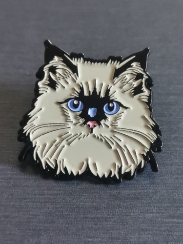 Chat siamese cat - chat,