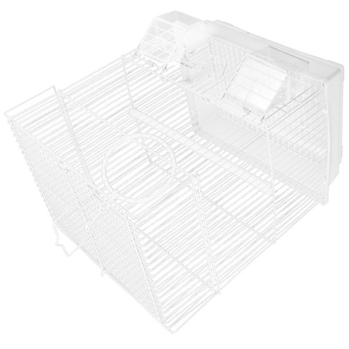 Bird cage parrot cockatiel - bird,