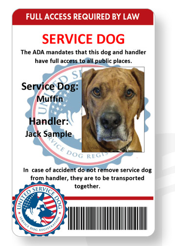 Service dog handler card - dog,