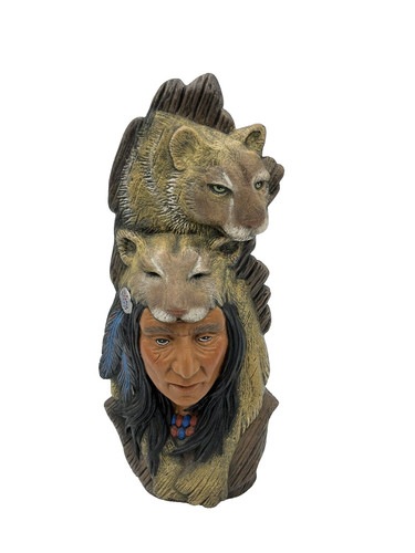 Native american indian chief - native,