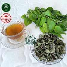 Calea zacatechichi tea mexican - tea,