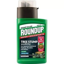 Roundup tree stump - tree,