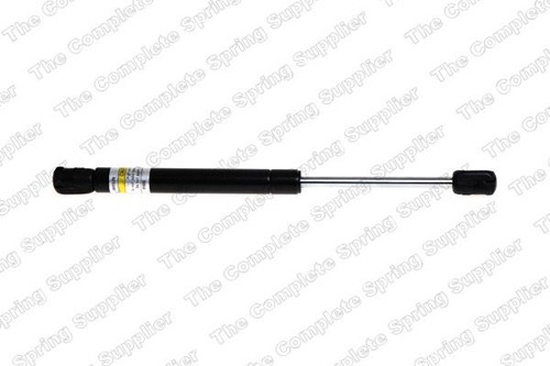 Lesjofors 8042101 bonnet gas - lesjofors,