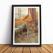 Vintage W Kuhnert Roe Deer
