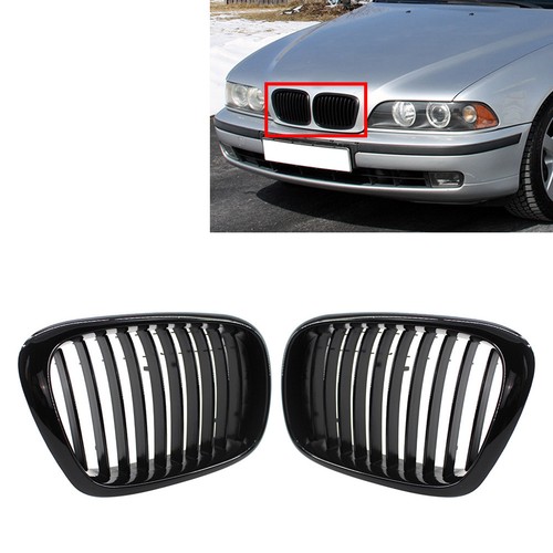 Front hood kidney grille - front,
