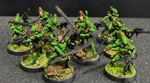 Kill team pro - pro, painted