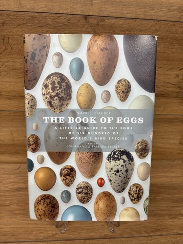The book eggs - eggs, lifesize