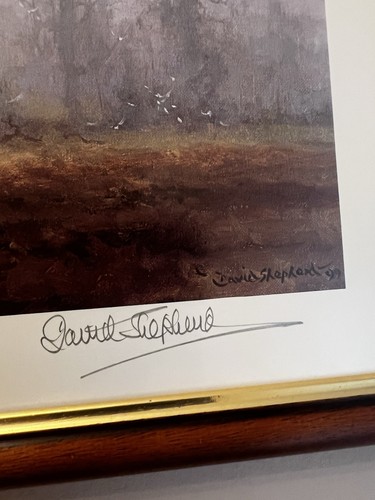 David shepherd signed - david,