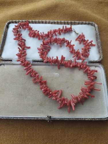 Vintage natural branch coral