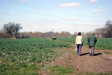 Photo 6x4 Walking the Dog, Radley Lower Radley This footpath leads down t c2011
