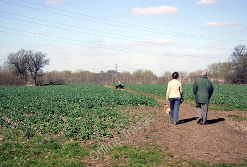 Photo 6x4 walking - photo, the