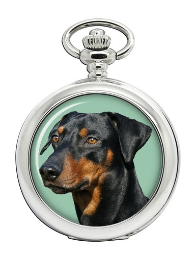 German pinscher pocket watch - pocket,