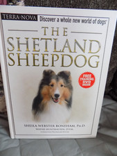shetland sheepdog book