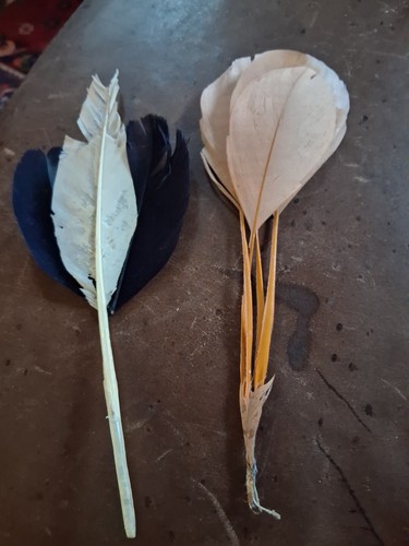 Antique millinery feathers - antique,