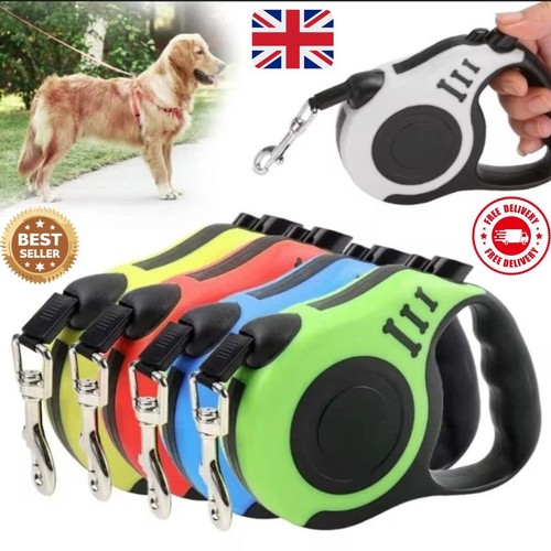 Retractable dog lead - dog,