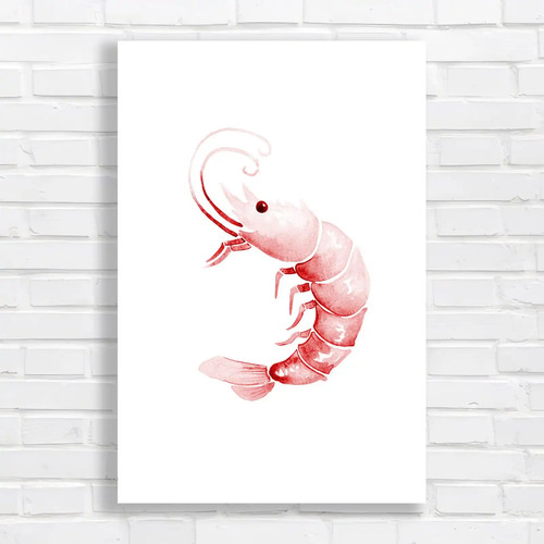 Aqua blue shrimp red - blue,